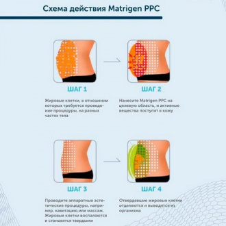 Matrigen, Сыворотка-липолитик для тела PPC, 12х10 мл