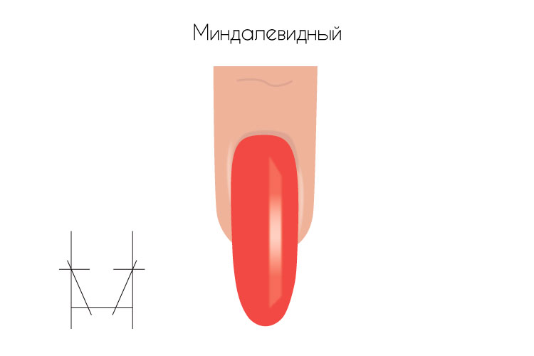Запил формы свободного края ногтя. Рисунок 6