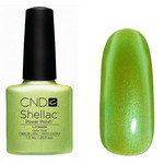 Таблица соответствий цветов Shellac, Entity, ruNail One и In'Garden So Naturally . Рисунок 82