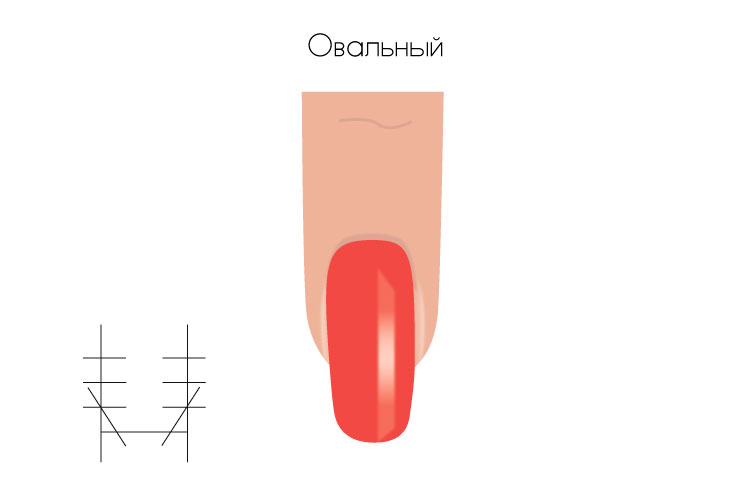 Запил формы свободного края ногтя. Рисунок 5